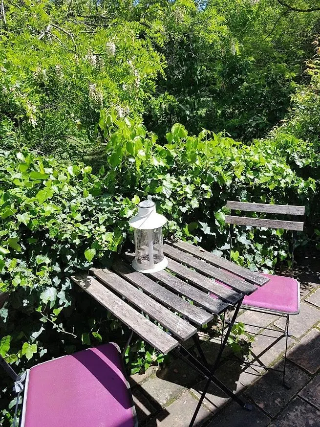 Bed & Breakfast Le Clos De L'Ambre Divajeu