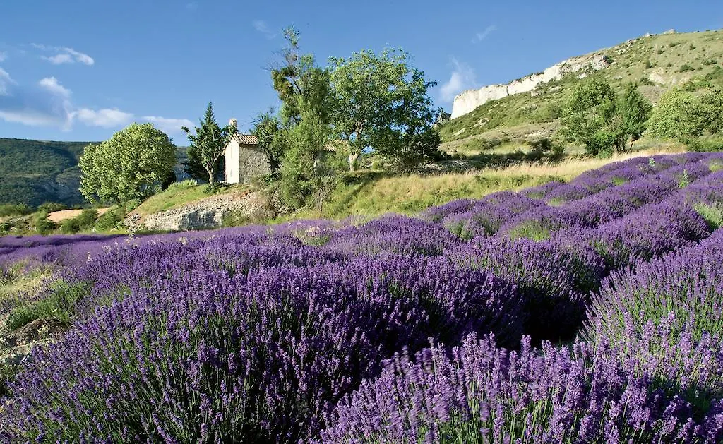 Nocleg ze śniadaniem Le Clos De L'Ambre Divajeu